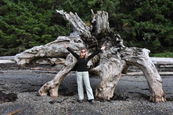 Raízes gigantes em praia na trilha de Metlakatla, na área de Prince Rupert, na British Columbia, oeste do Canadá